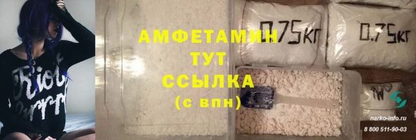 ПСИЛОЦИБИНОВЫЕ ГРИБЫ Верхний Тагил